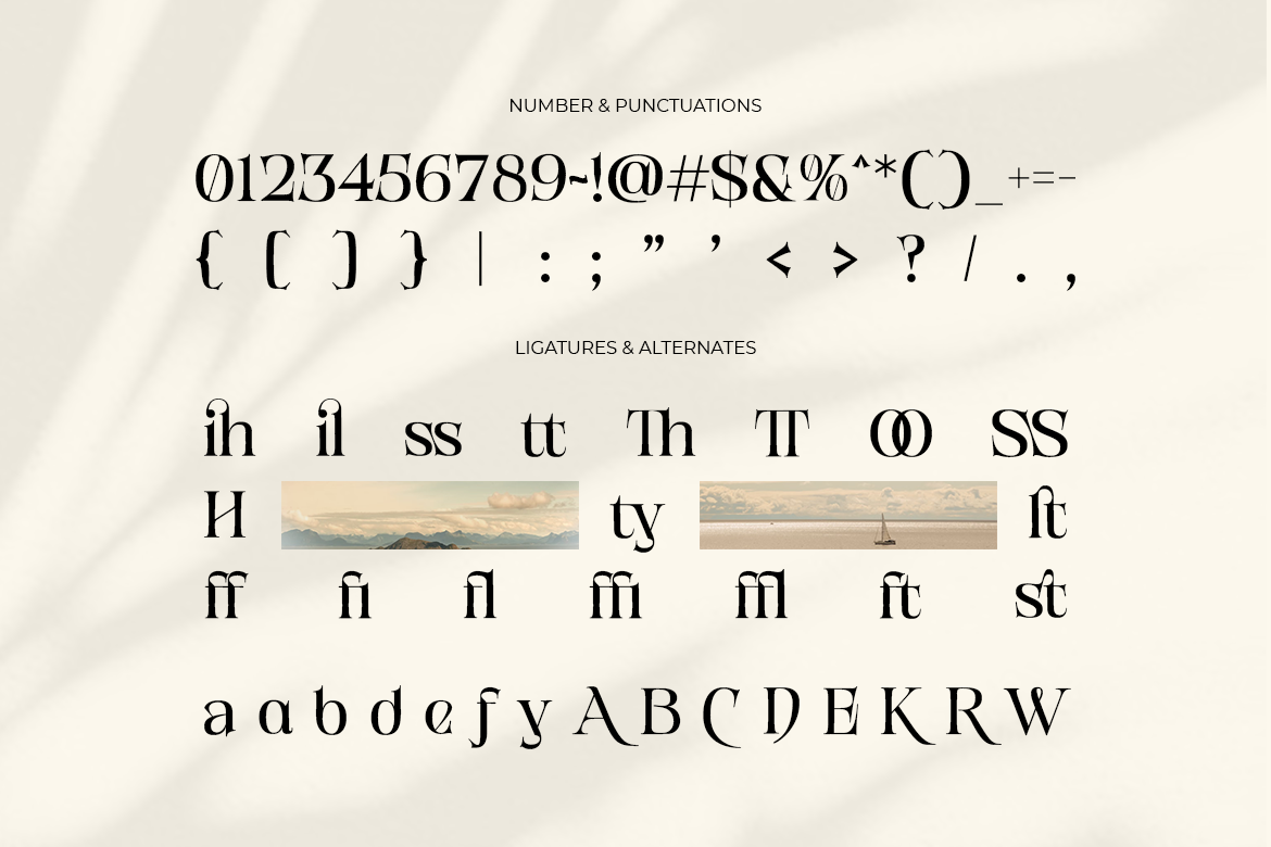 Rockville Versatility Serif - Image 9